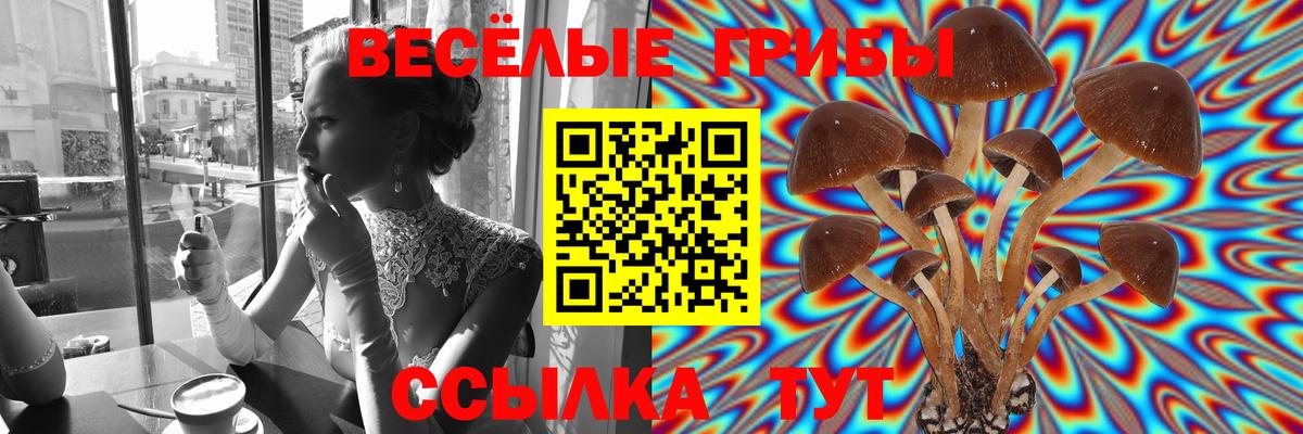 Галлюциногенные грибы ЛСД Балашиха