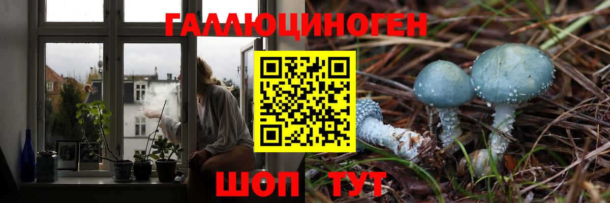 Балашиха  Псилоцибиновые грибы Magic Shrooms  Вход с VPN 