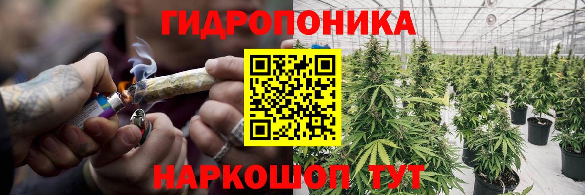 Бошки Шишки VHQ Балашиха